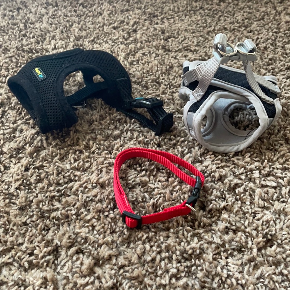 Various small dog or cat collars/harnesses
